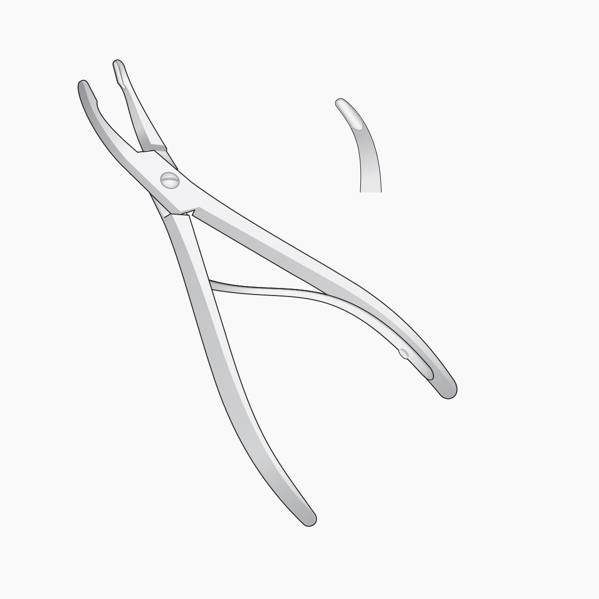 luer-bone-rongeurs
